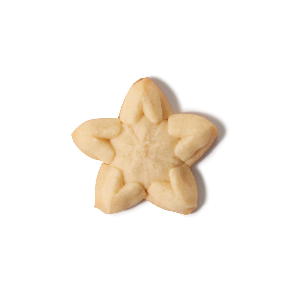 Christmas Cookie Press Disk Set G6