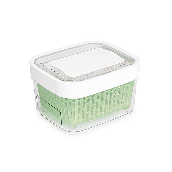 GreenSaver Produce Keeper (1.6 Qt) U2