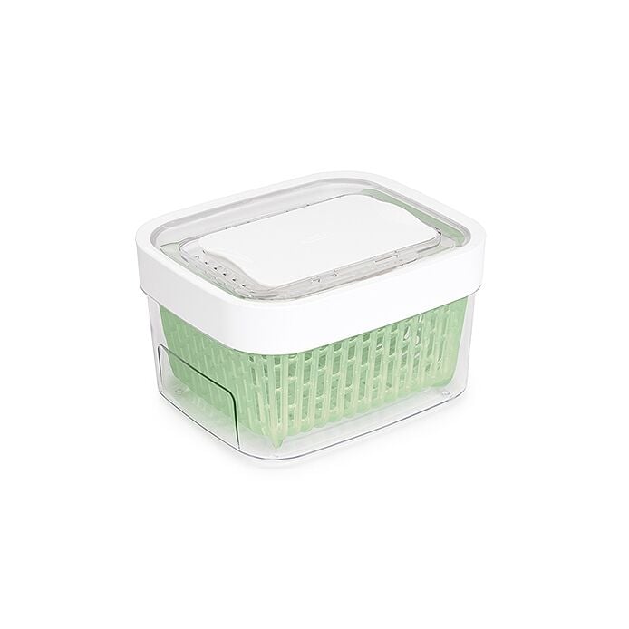 GreenSaver Produce Keeper (1.6 Qt) U2