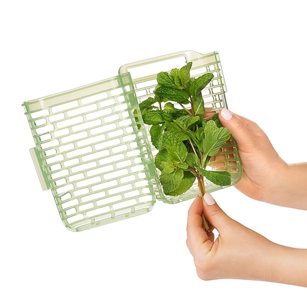 GreenSaver Herb Keeper - Small A1