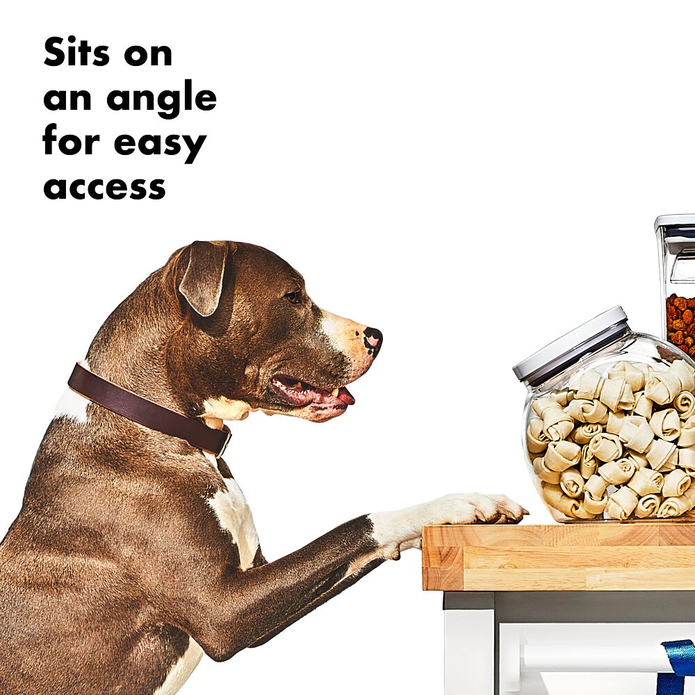 OXO Good Grips Pet POP Container – 3.0 Qt/2.8 L M1
