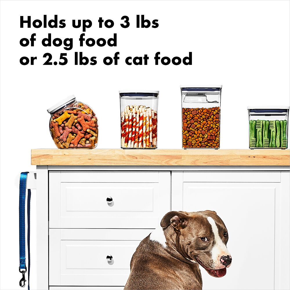 OXO Good Grips Pet POP Container – 3.3 Qt/3.1 L K4