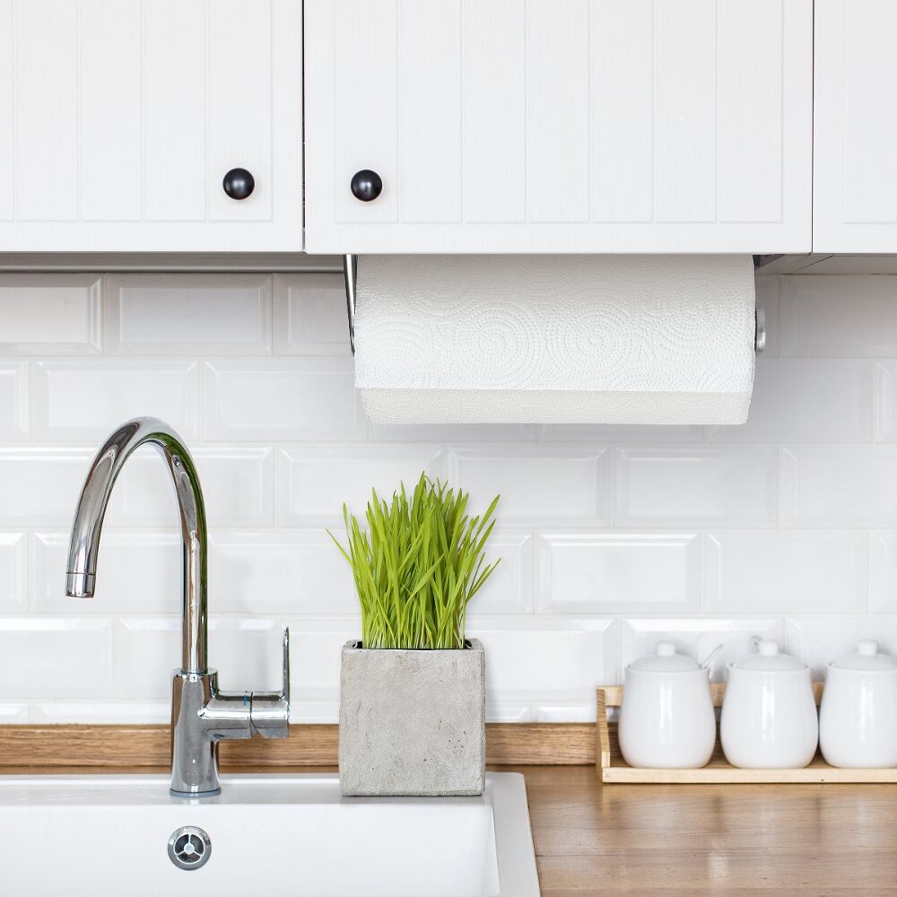 Steady Mounted Paper Towel Holder C6