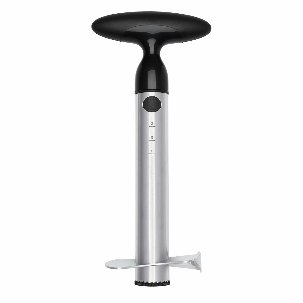 Stainless Steel Pineapple Slicer Q9