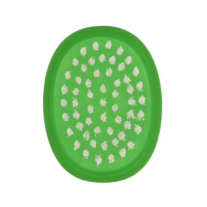 Vegetable Brush W6
