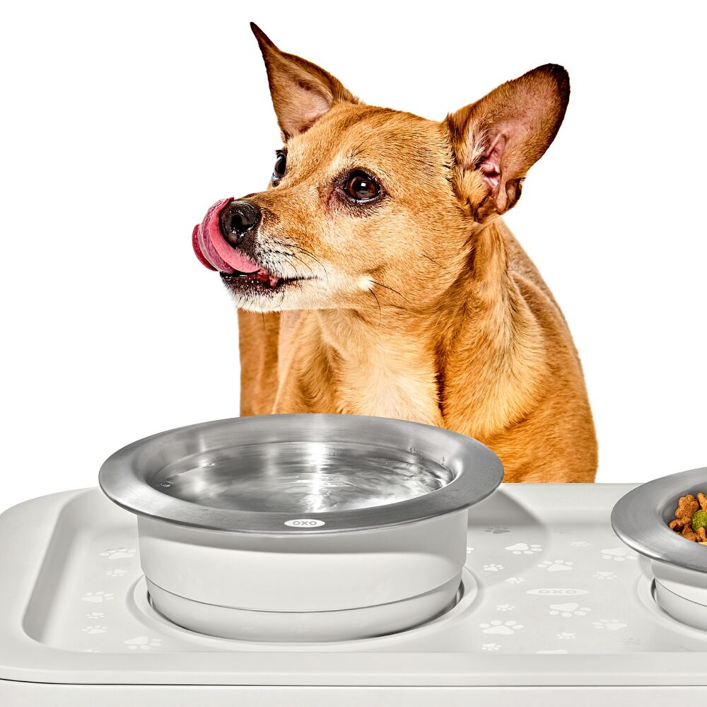 OXO Pet Nonslip Bowl - Medium, 2 Cups / 480 mL R2