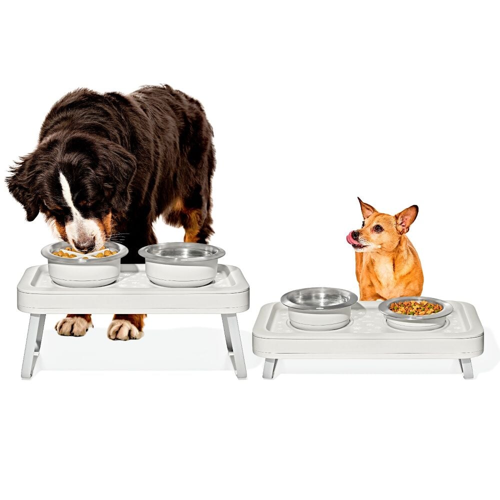 OXO Pet Adjustable Elevated Feeder S8