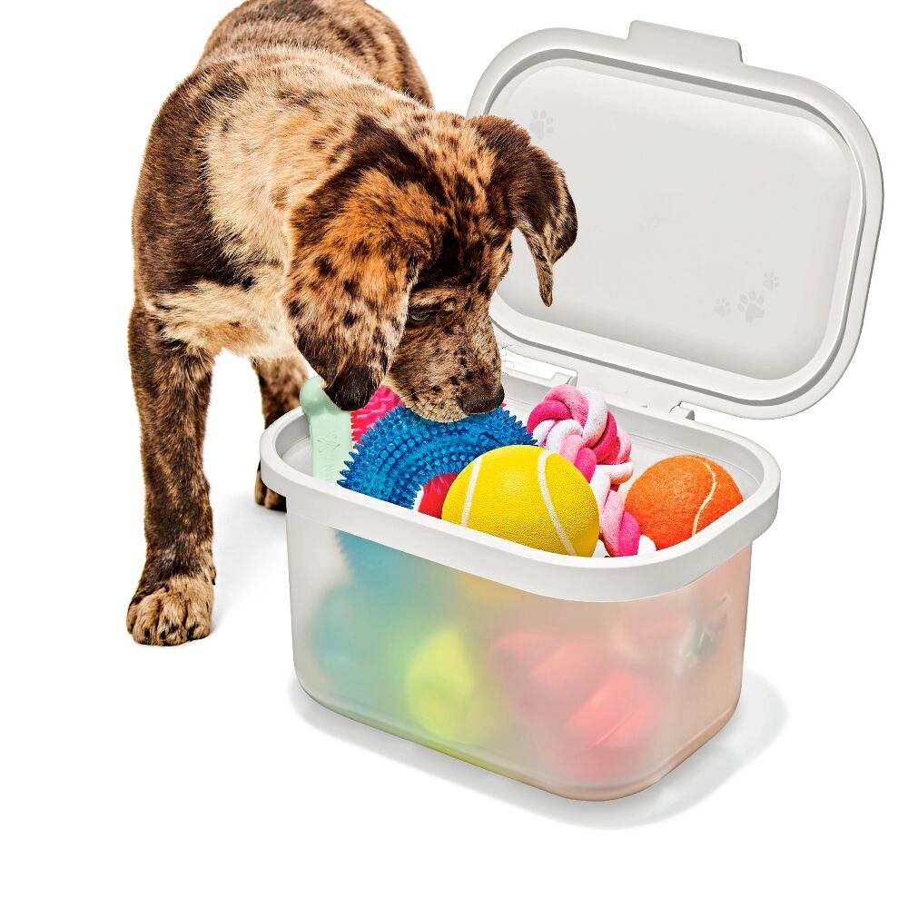 OXO Pet Multi-Purpose Container M8