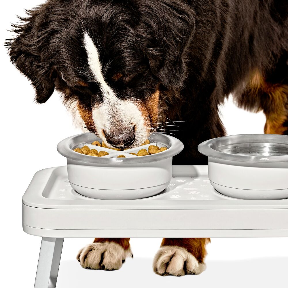 OXO Pet Easy-Clean Slow Feeder - Large, 4 Cups/950 ml Z0