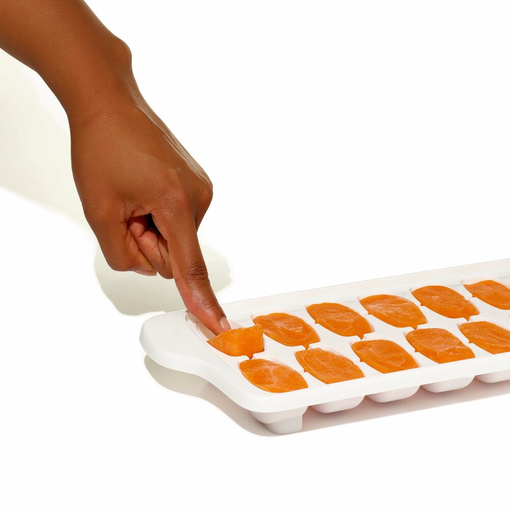 Baby Food Freezer Tray Set G1
