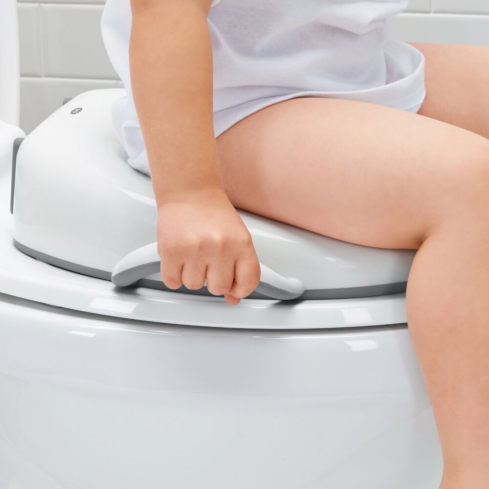 Sit Right Potty Seat - Gray N0