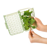 GreenSaver Herb Keeper - Small A1