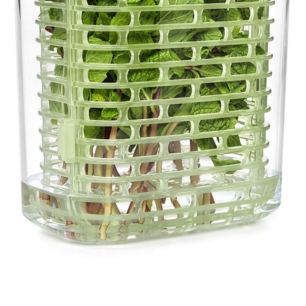 GreenSaver Herb Keeper - Small A1