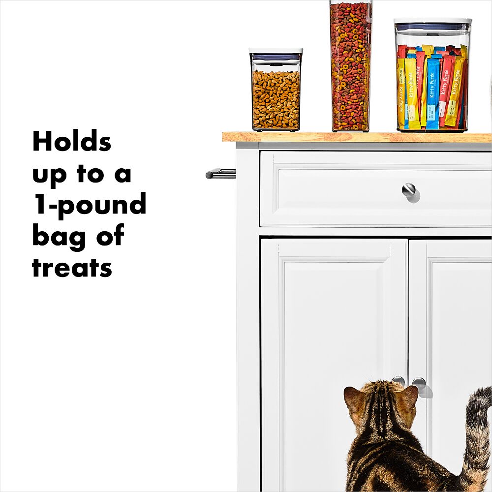 OXO Good Grips Pet POP Container – 1.1 Qt/1 L U3