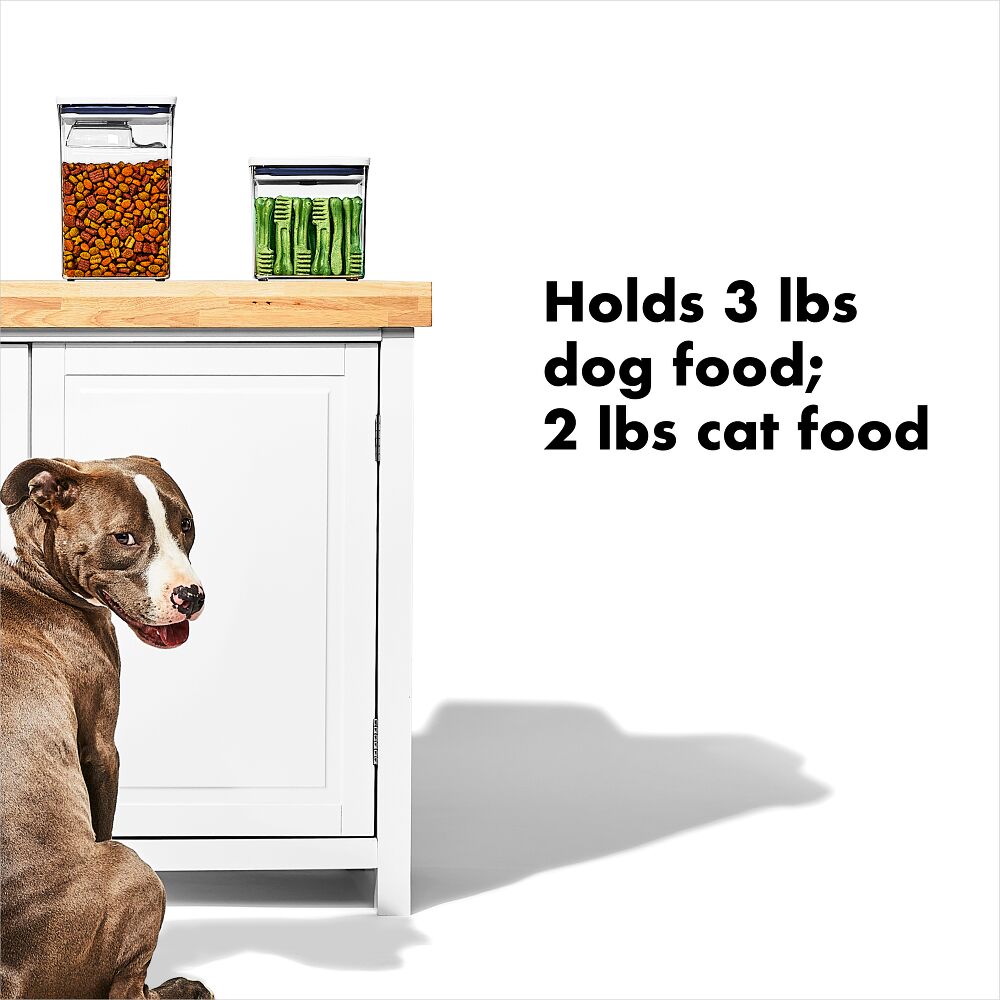 OXO Good Grips Pet POP Container – 2.8 Qt/2.6 L Q6