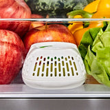 Produce Saver Crisper Drawer Insert  2-Pack T3