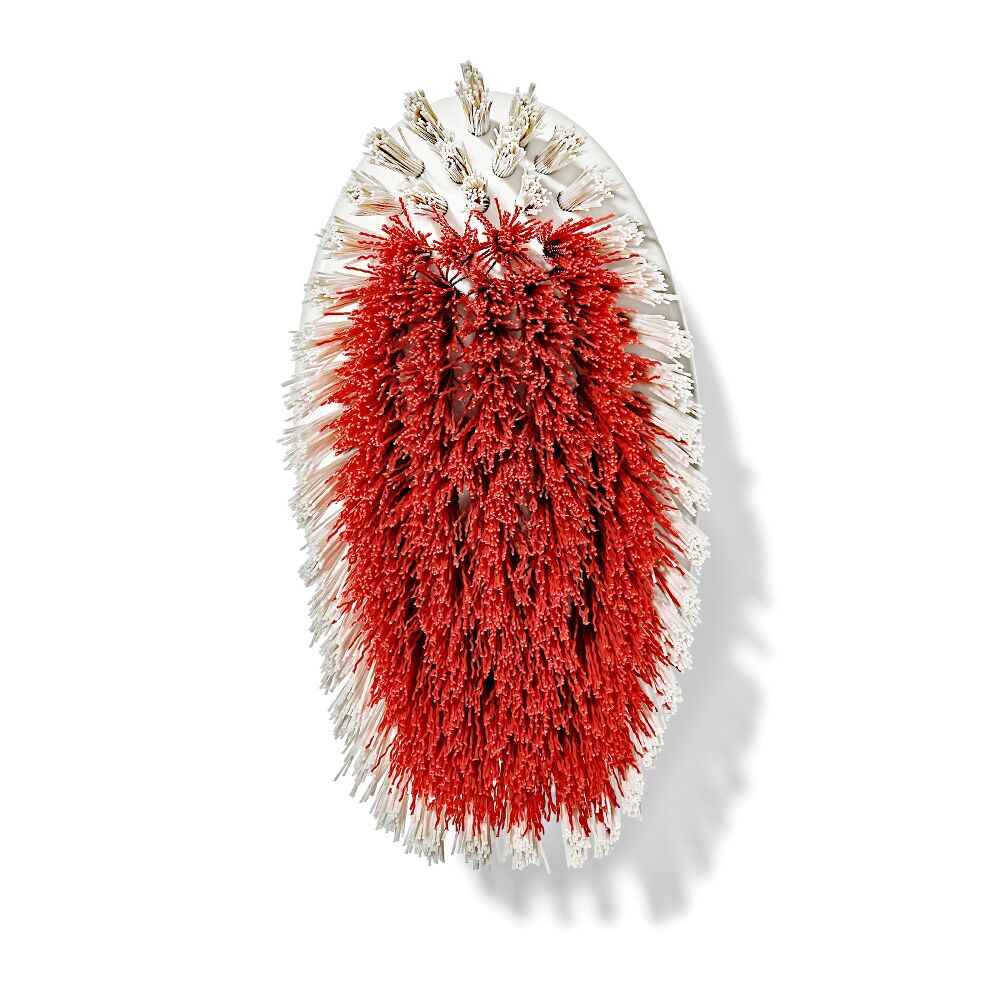 All-Purpose Scrub Brush 2-Pack S6
