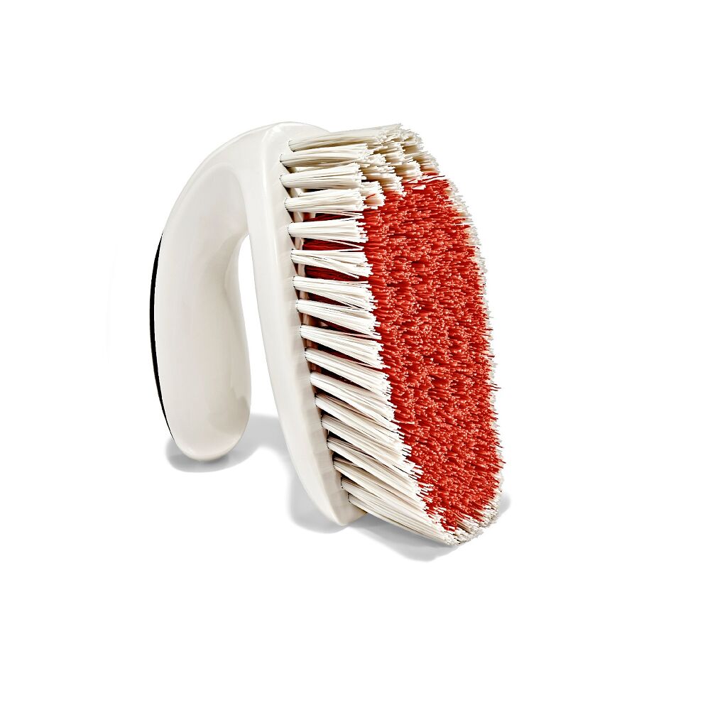 All-Purpose Scrub Brush 2-Pack S6