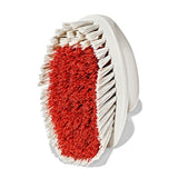 All-Purpose Scrub Brush 2-Pack S6