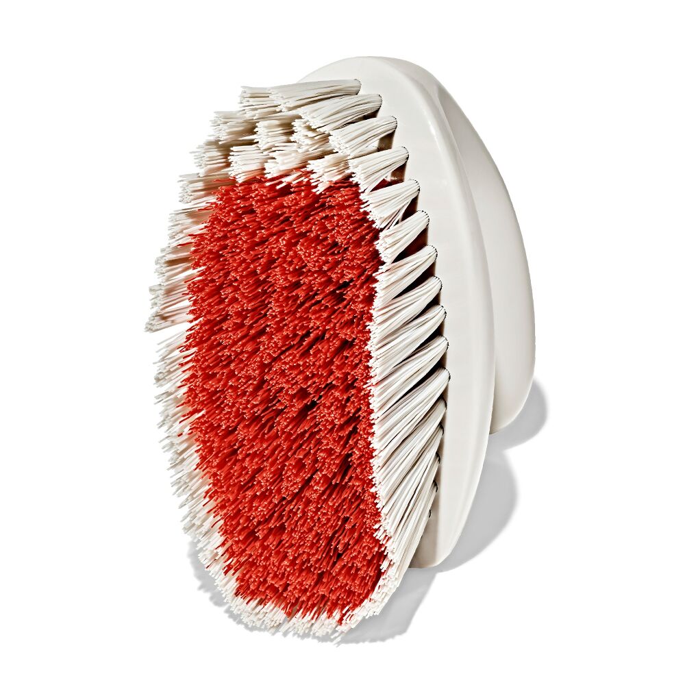 All-Purpose Scrub Brush 2-Pack S6