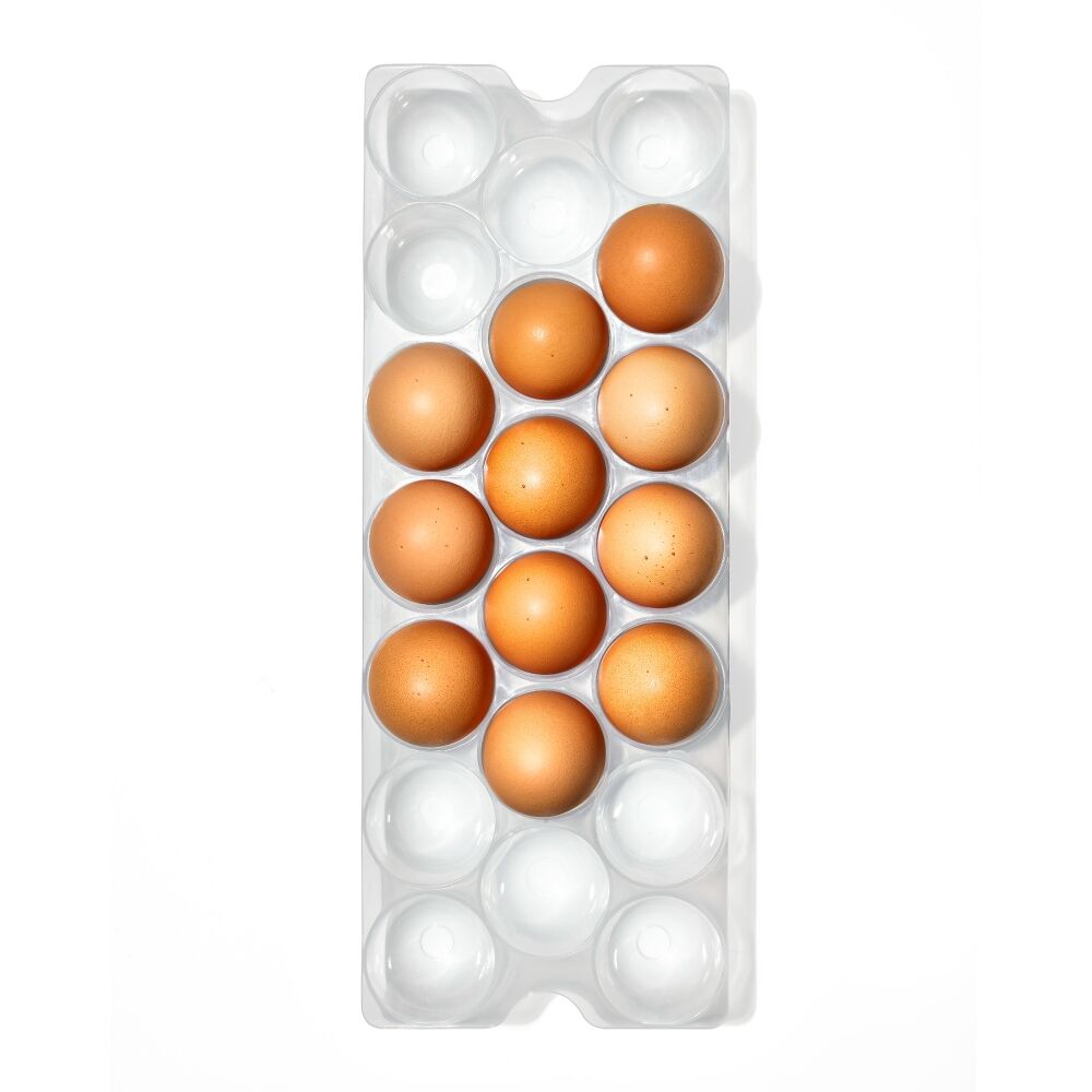 Refrigerator Egg Bin With Removable Tray O4