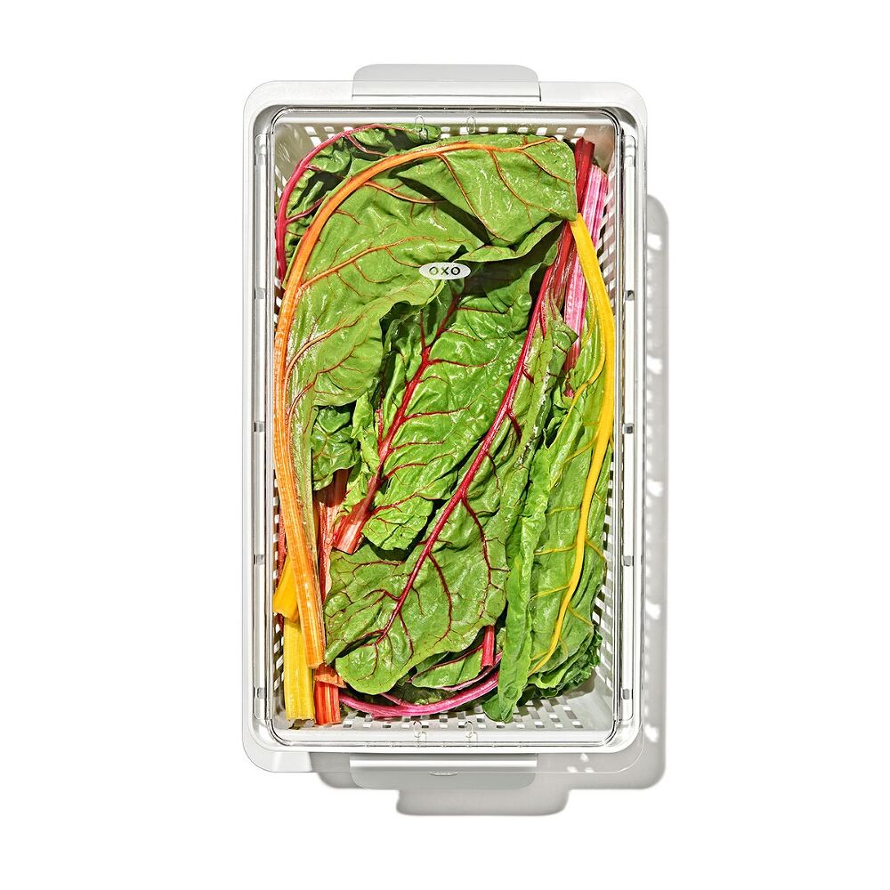 Produce Saver - Large Bin A6