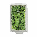 Produce Saver - Medium Bin A3