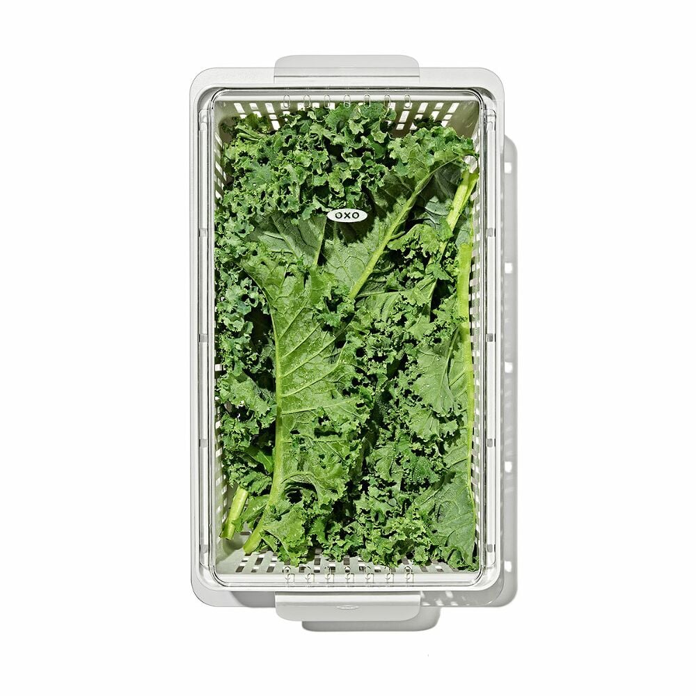 Produce Saver - Medium Bin A3