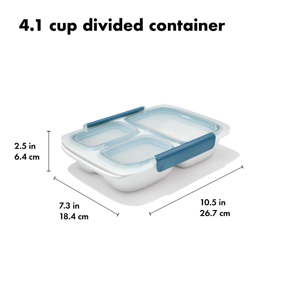 Prep & Go 4.1-Cup Divided Container - Ocean Blue N6