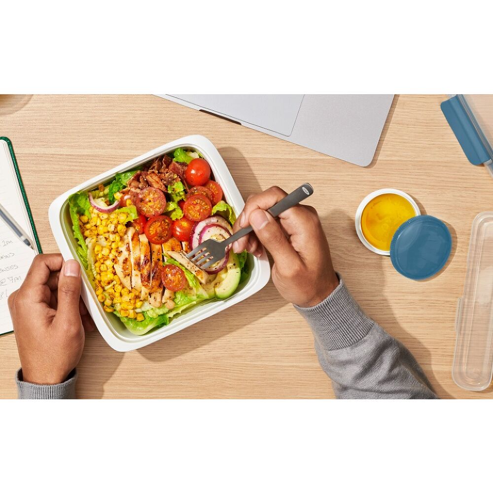 Prep & Go 3.3-Cup Container C9
