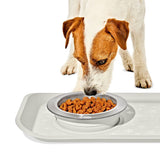 OXO Pet Nonslip Bowl - Small, 1 Cup / 240 mL T6